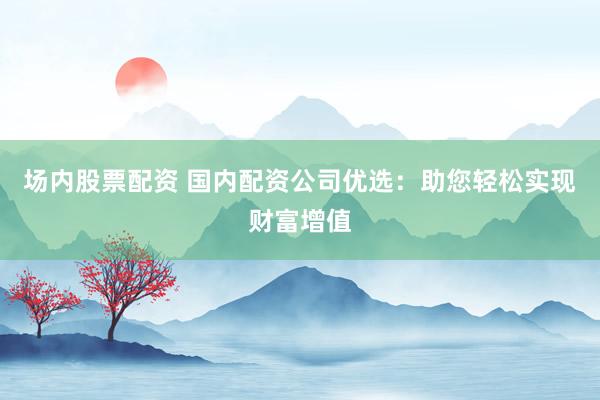 場(chǎng)內(nèi)股票配資 國內(nèi)配資公司優(yōu)選：助您輕松實(shí)現(xiàn)財(cái)富增值