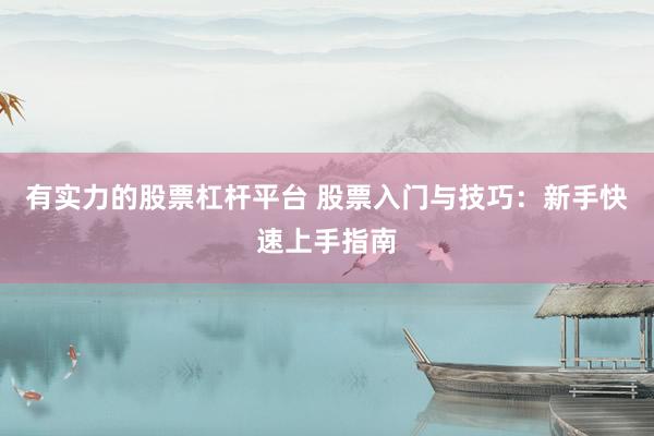 有實力的股票杠桿平臺 股票入門與技巧：新手快速上手指南