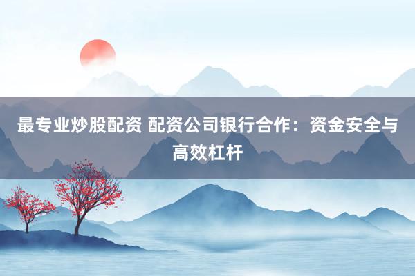 最專業(yè)炒股配資 配資公司銀行合作：資金安全與高效杠桿