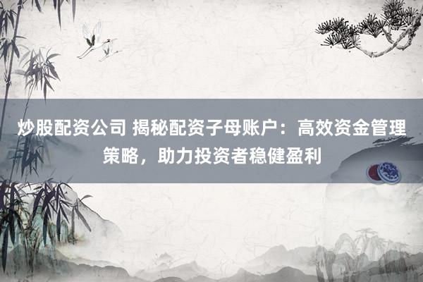 炒股配資公司 揭秘配資子母賬戶：高效資金管理策略，助力投資者穩(wěn)健盈利