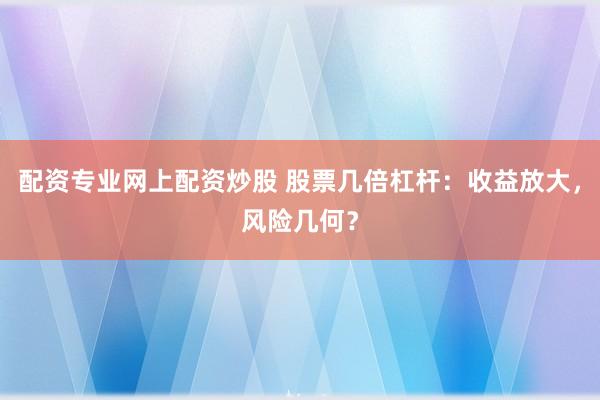 配資專業(yè)網(wǎng)上配資炒股 股票幾倍杠桿：收益放大，風(fēng)險(xiǎn)幾何？